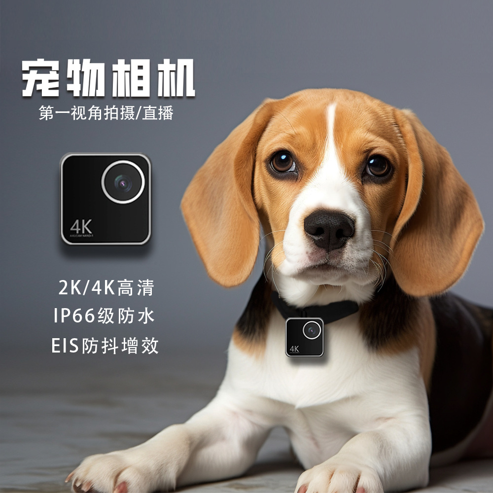 Cameras - Dierencamera, katten- en hondencamera, smart collar
