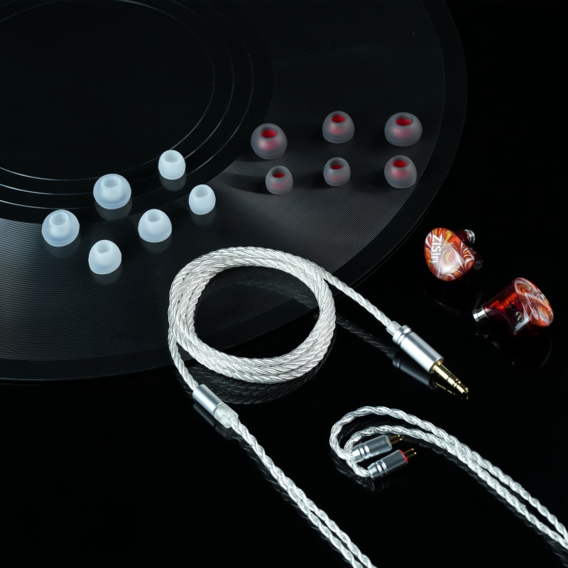 ZiSin 340 IEM 10mm 1DD driver, - Planar Magnetic Iem Earphones recensie en prijs