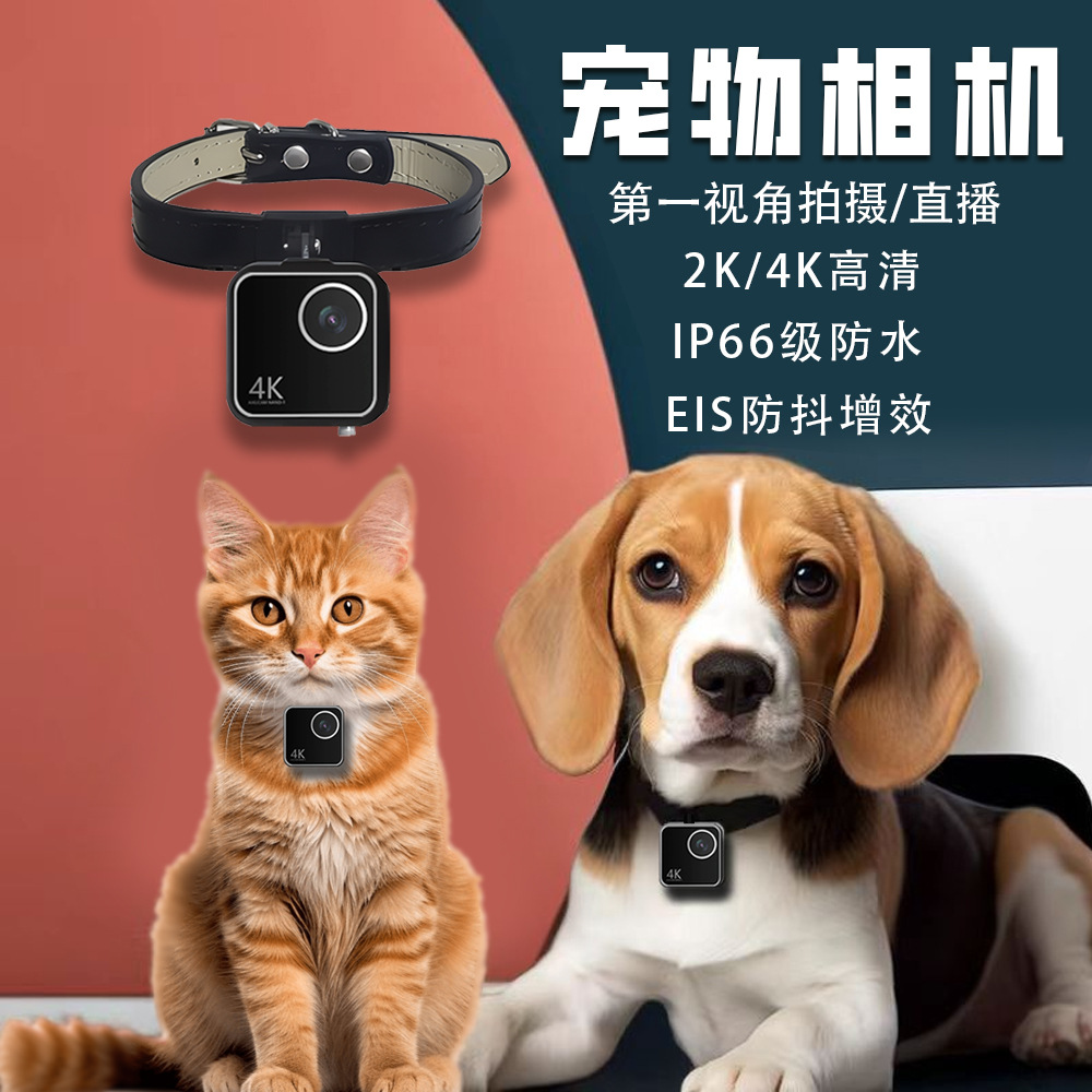 Dierencamera, katten- en honde - Cameras recensie en prijs