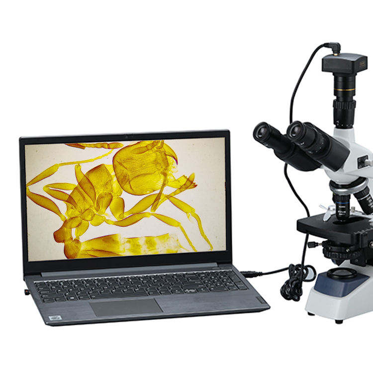 Biologische digitale videomicr - Cameras recensie en prijs